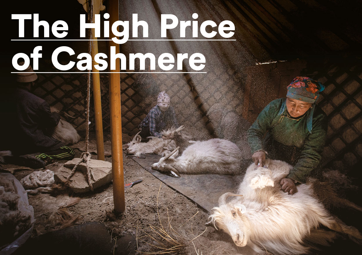 The High Price of CashmereThe dramatic impact of goats on Mongolia’s economy.