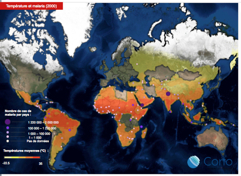 CLIMATE IMPACT - HEALTH N°1 BY GENERALI Climate warming and infectious diseases 